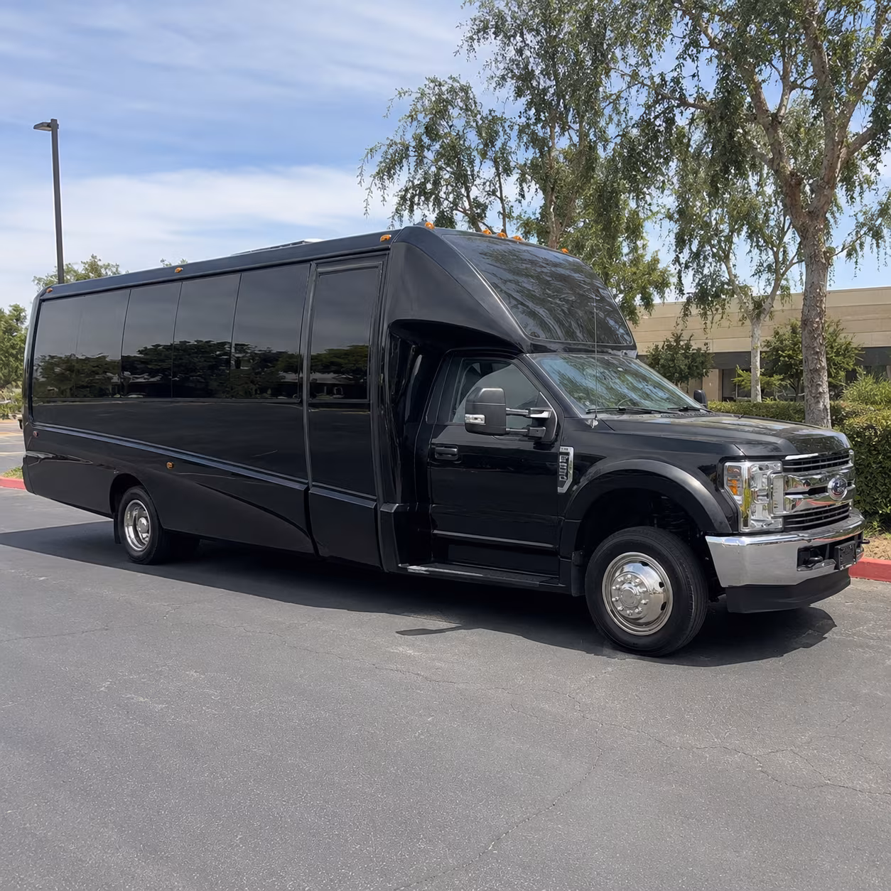 20 Passenger Party Bus