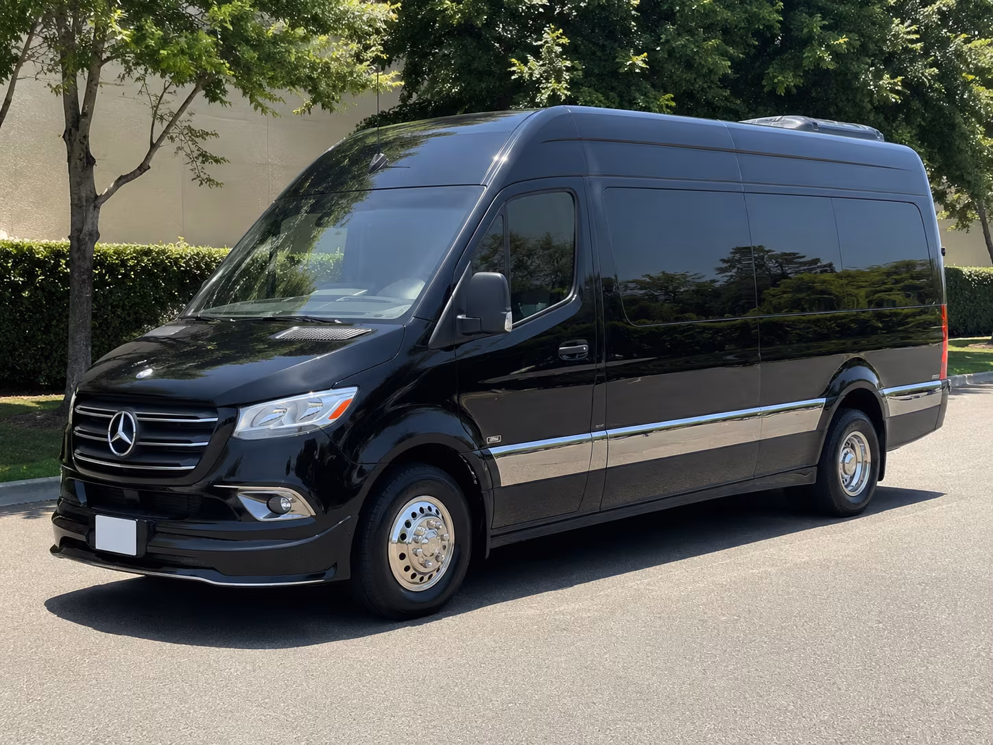 14 Passenger Sprinter Limo
